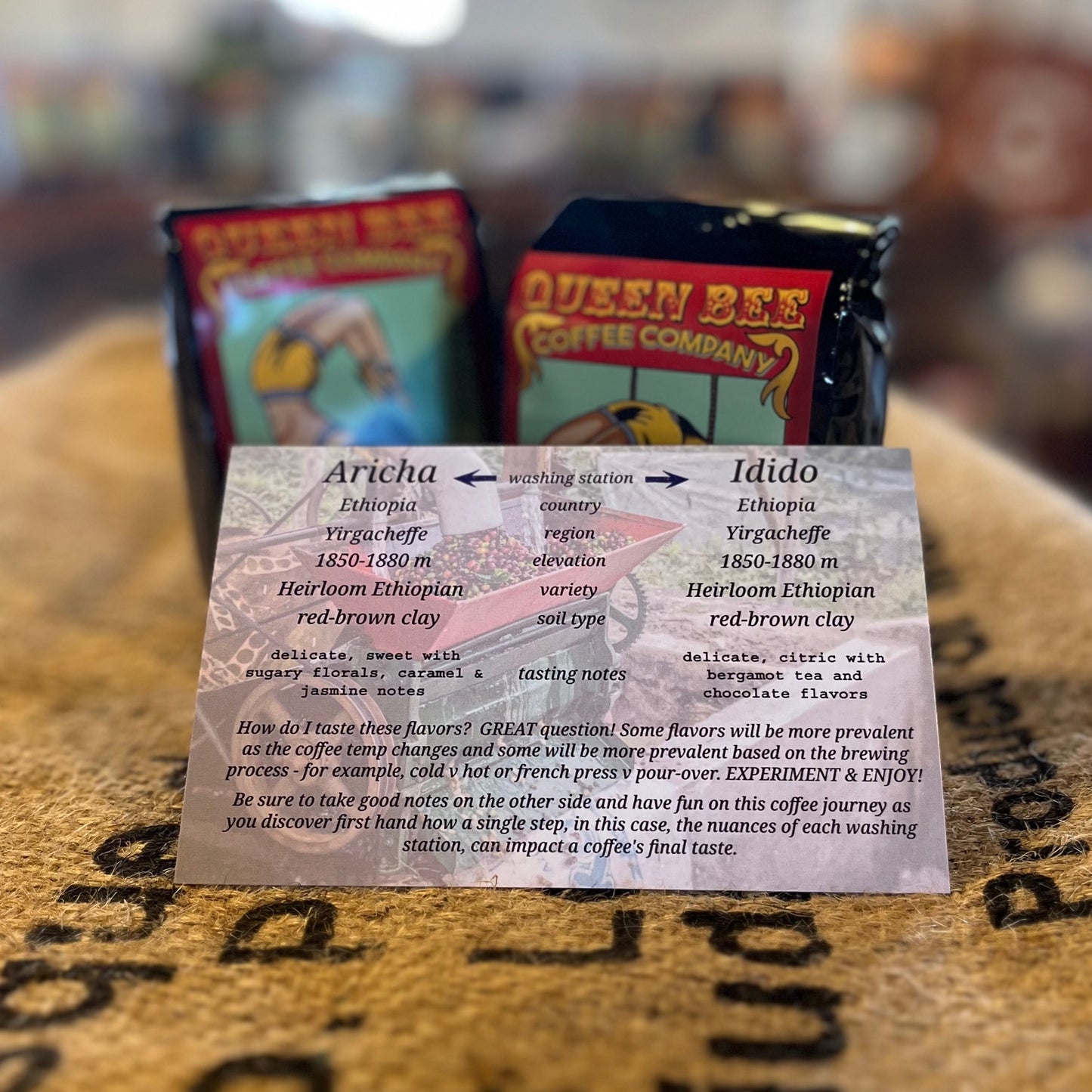 Yirgacheffe (Ethiopia) Coffee Dual Pack (Two 8oz bags)