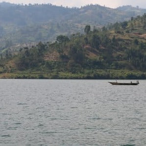 Murambi (Congo) Coffee