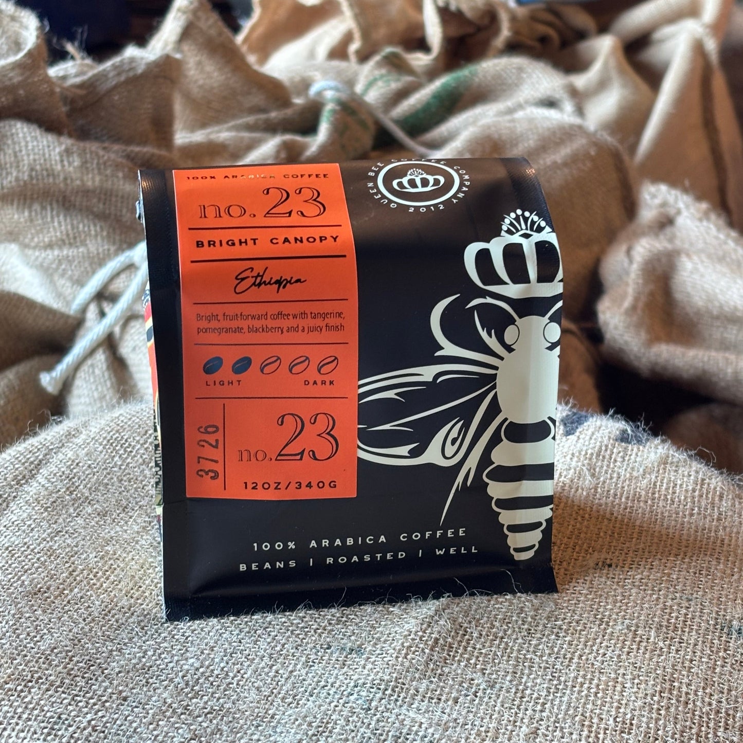 Bright Canopy coffee from Ethiopia on burlap background