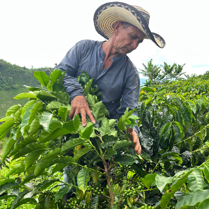 Sudan Rume (Colombia)